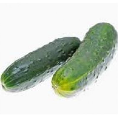 Omaxe Cucumber F1 Super Salad seeds (10 Seeds)